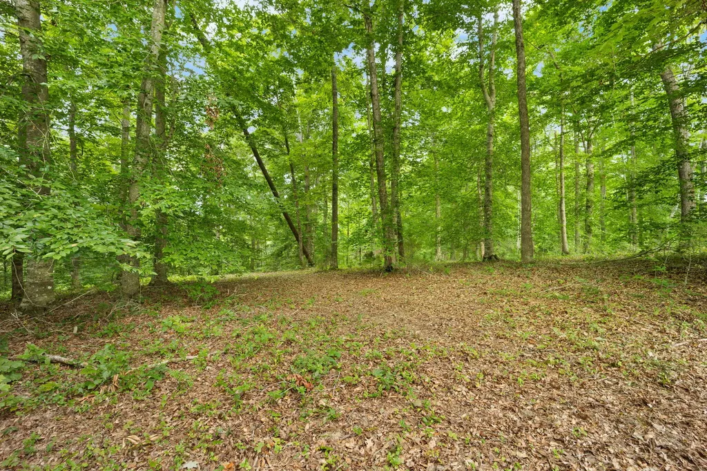 Lot 39 Captains Point Jamestown KY 42629