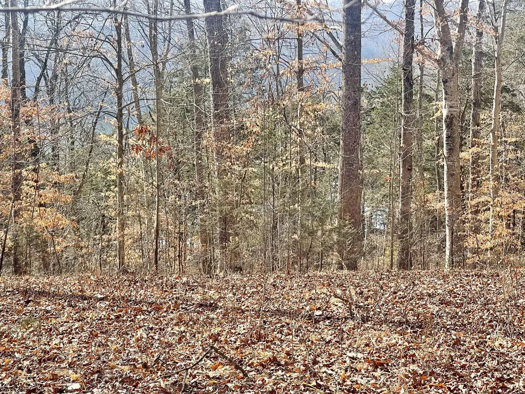 Lot 39 Captains Point Jamestown KY 42629