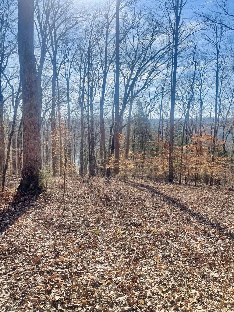 Lot 39 Captains Point Jamestown KY 42629