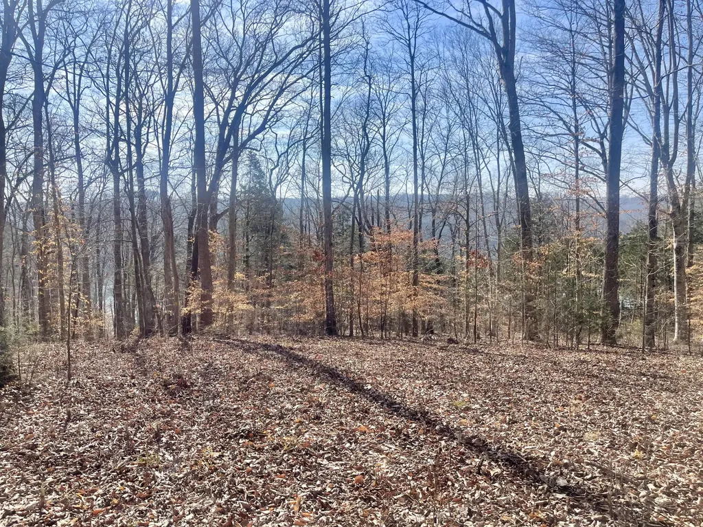 Lot 39 Captains Point Jamestown KY 42629