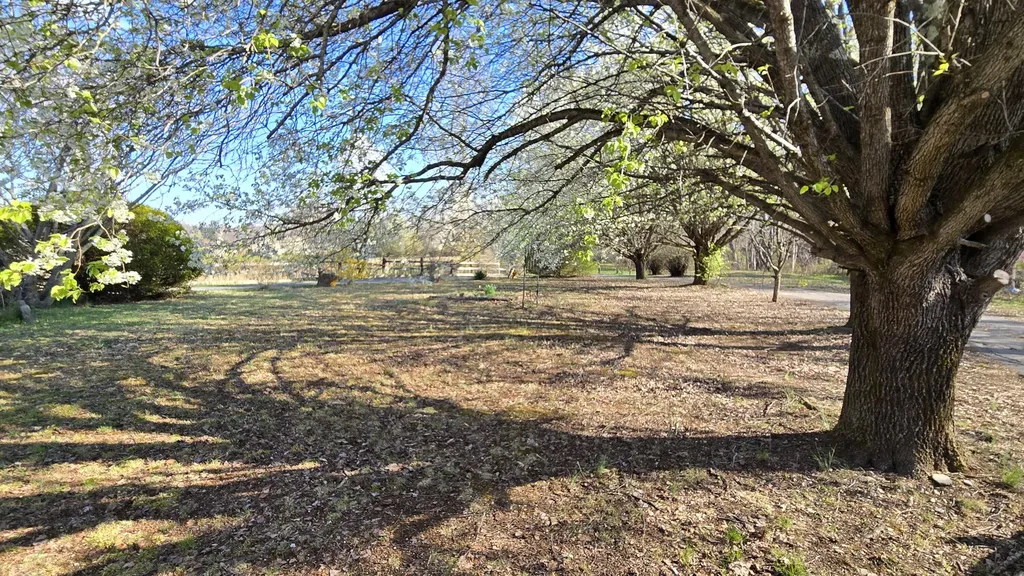 2792 Highway 1223 Corbin KY 40701
