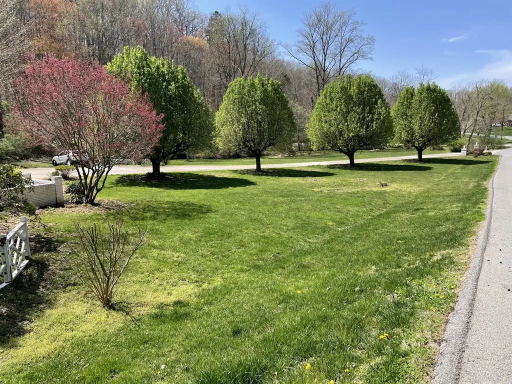 310 Sunny Brook Lane Heidrick KY 40949