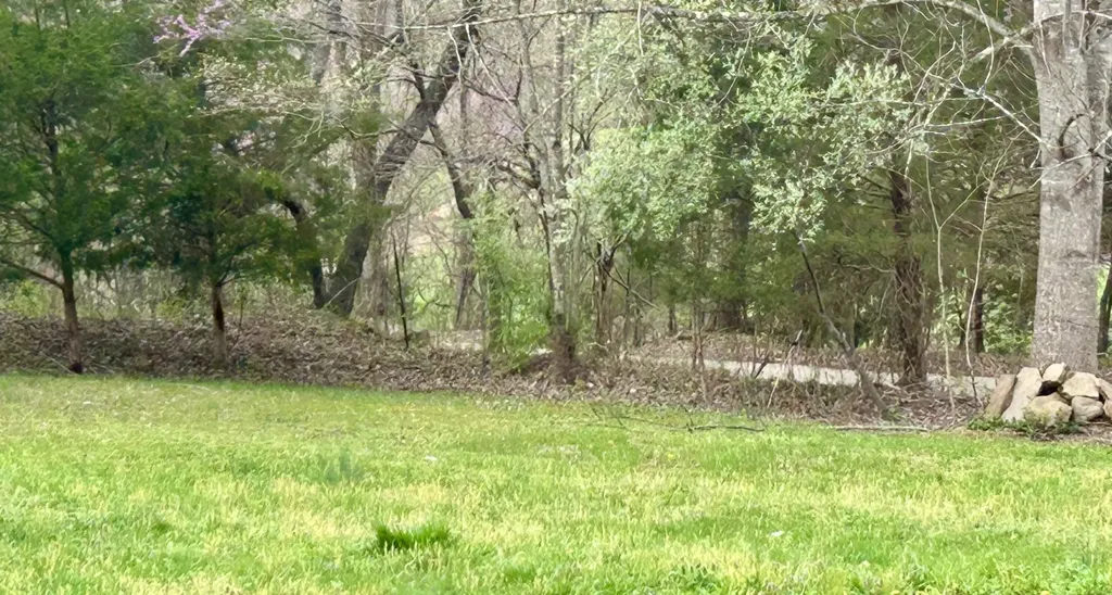 1747 Indian Creek-gray Road Corbin KY 40701