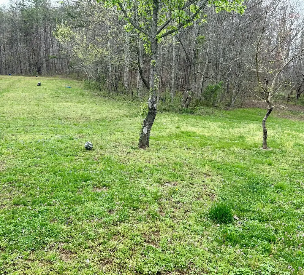 1747 Indian Creek-gray Road Corbin KY 40701