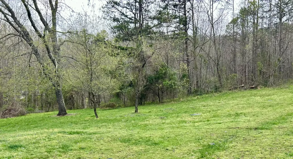 1747 Indian Creek-gray Road Corbin KY 40701