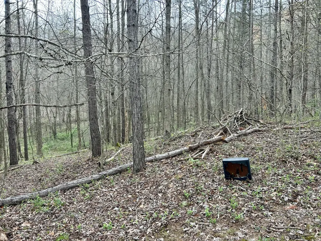 1747 Indian Creek-gray Road Corbin KY 40701
