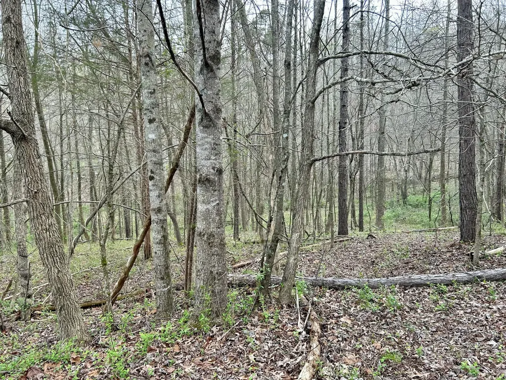 1747 Indian Creek-gray Road Corbin KY 40701