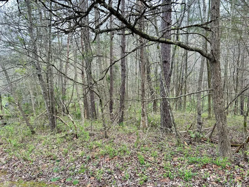 1747 Indian Creek-gray Road Corbin KY 40701