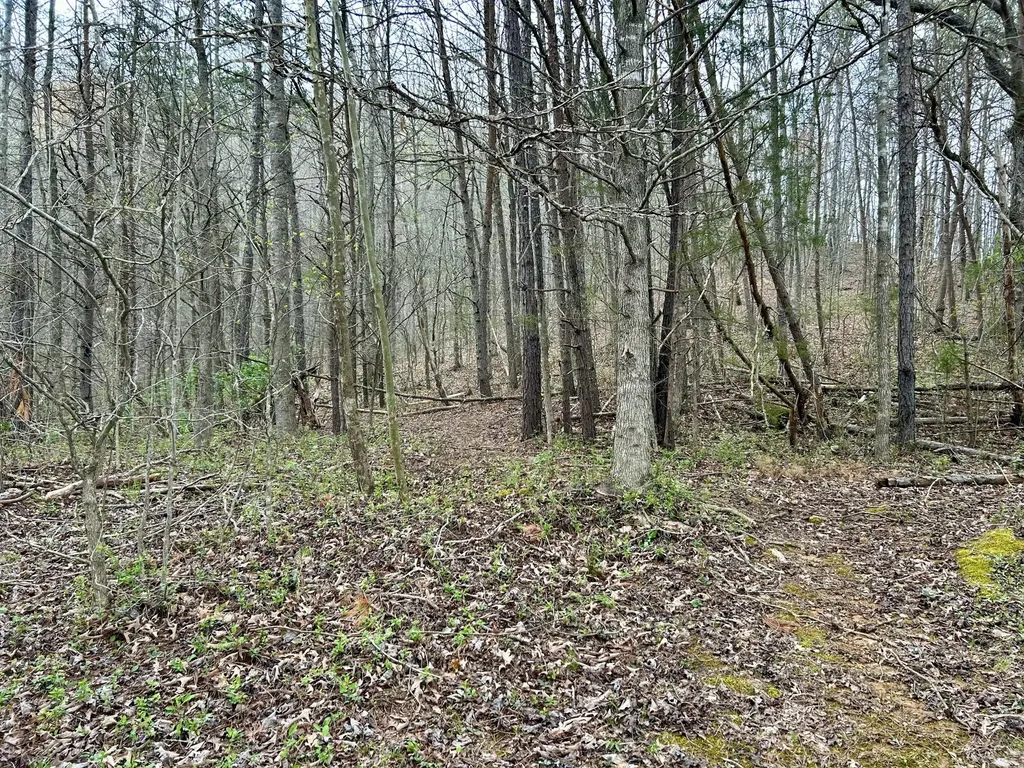 1747 Indian Creek-gray Road Corbin KY 40701