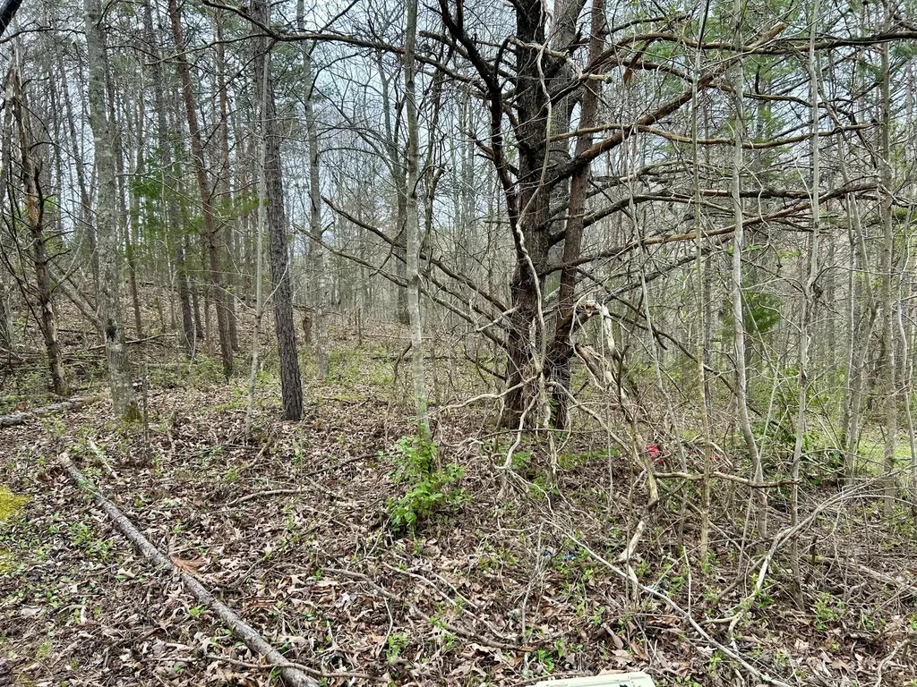 1747 Indian Creek-gray Road Corbin KY 40701