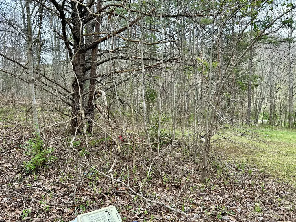 1747 Indian Creek-gray Road Corbin KY 40701