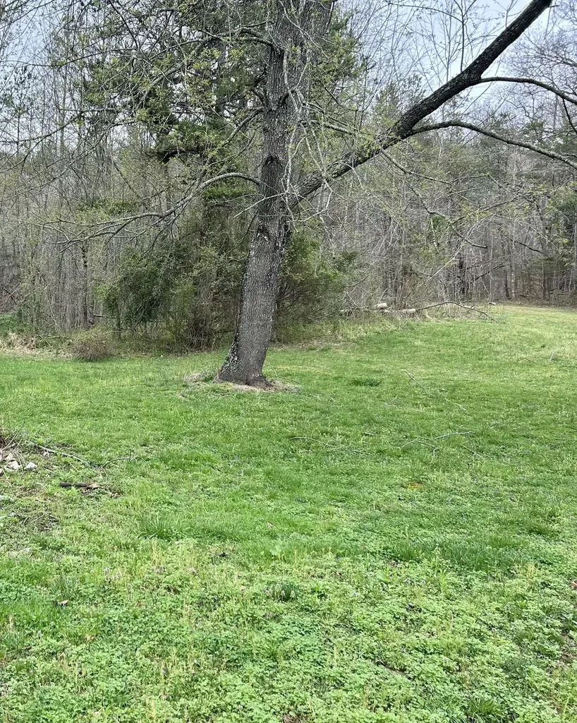 1747 Indian Creek-gray Road Corbin KY 40701