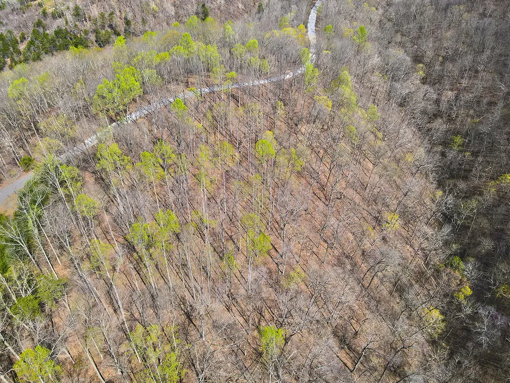 78 Sandstone Trail Monticello KY 42633