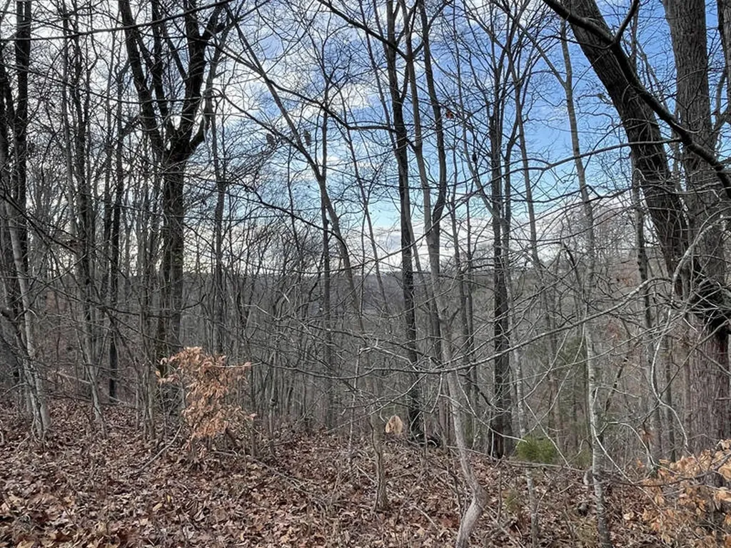 Lot 14 The Village At Laurelwood Nancy KY 42544