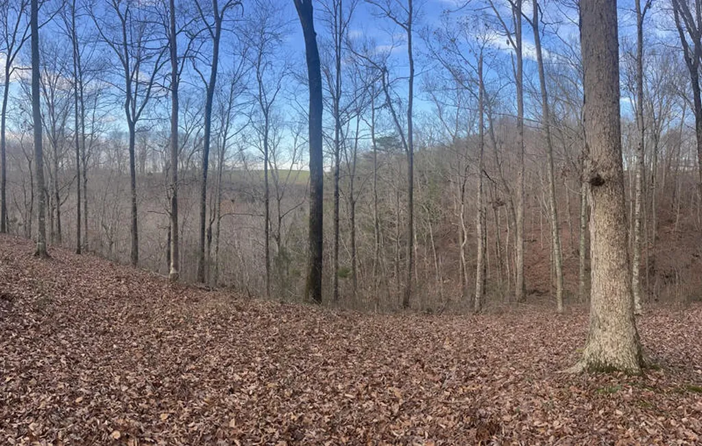 Lot 14 The Village At Laurelwood Nancy KY 42544