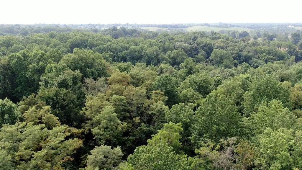 1027 Morris Drive Richmond KY 40475