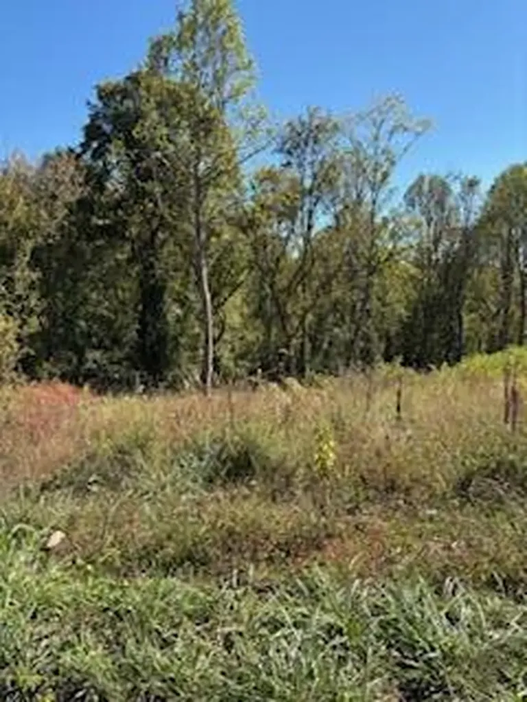1027 Morris Drive Richmond KY 40475