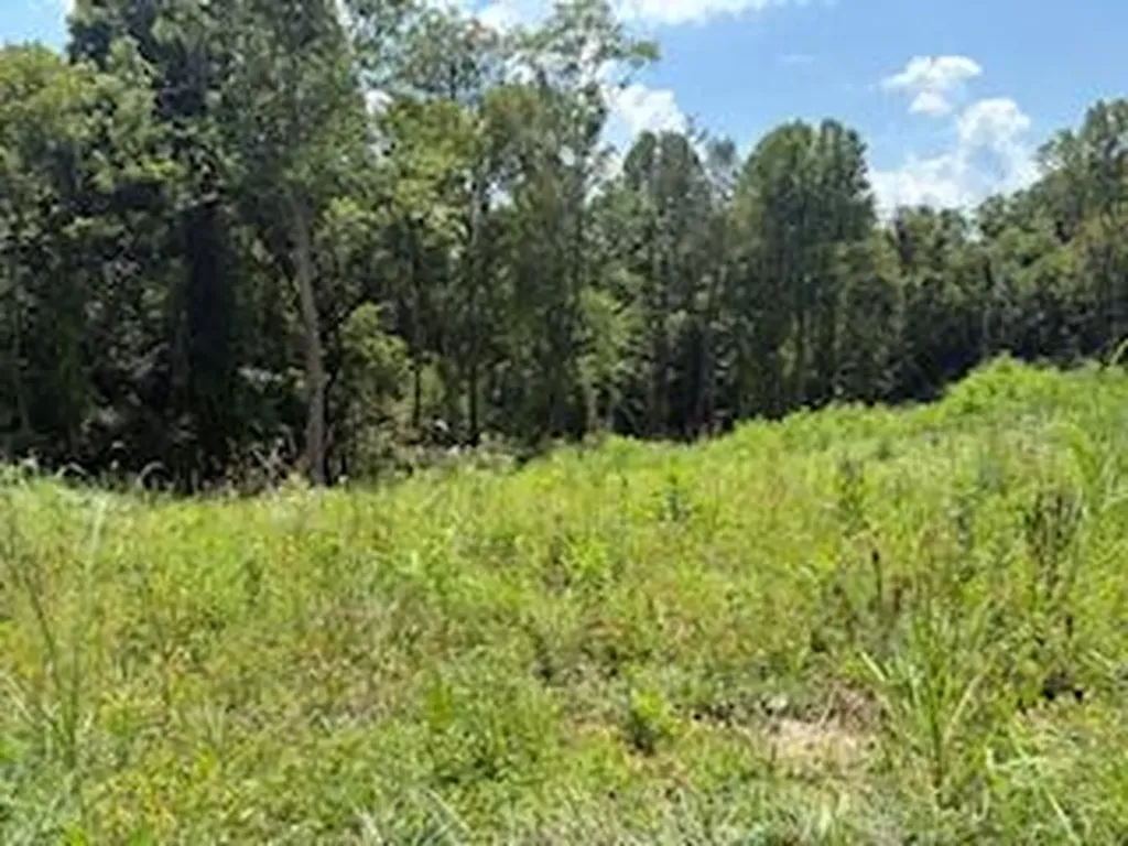 1027 Morris Drive Richmond KY 40475