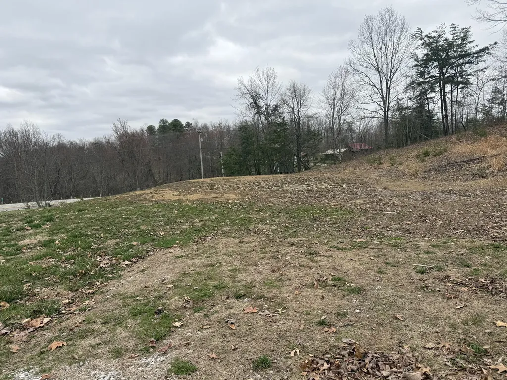 125 Mynx Lane Wellington KY 40387