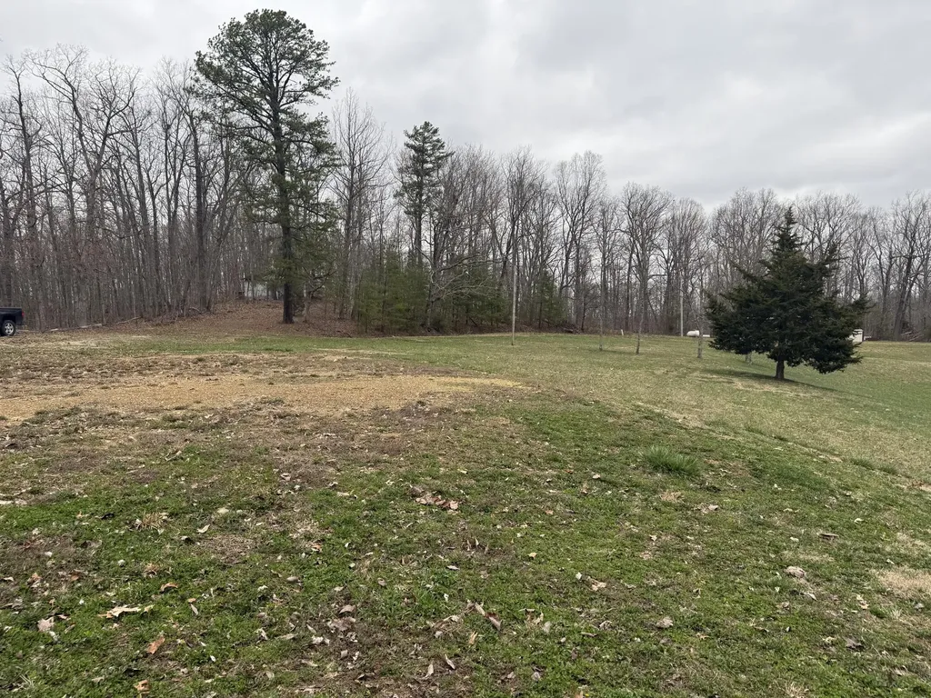 125 Mynx Lane Wellington KY 40387