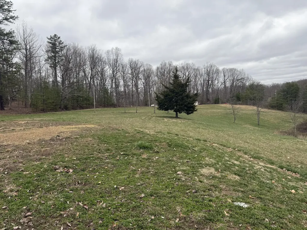125 Mynx Lane Wellington KY 40387