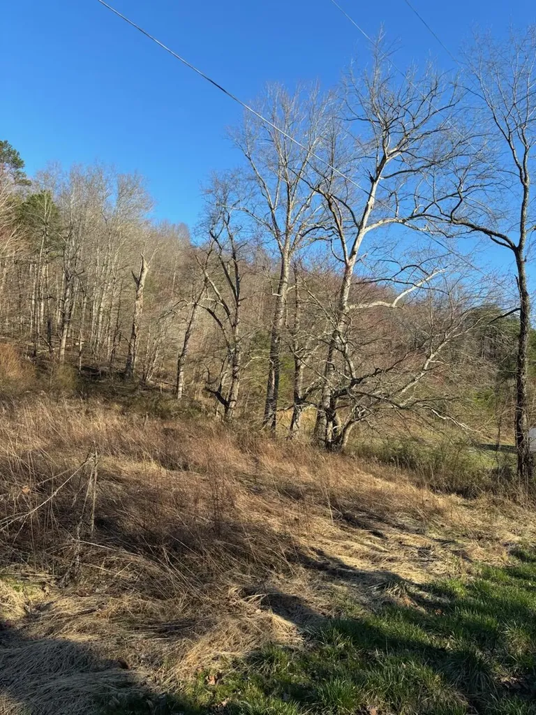 1830 Taylor School Road London KY 40741