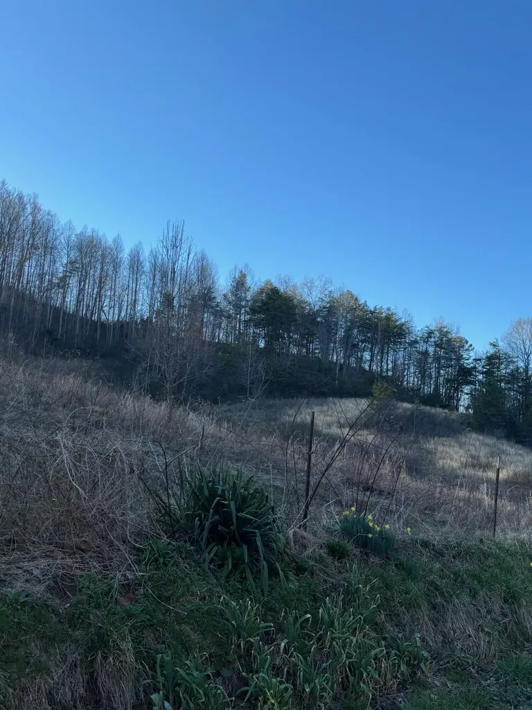 1830 Taylor School Road London KY 40741