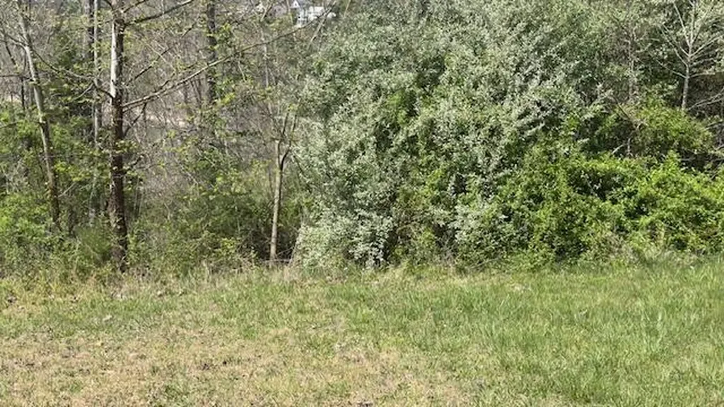 Indian Creek Road Burnside KY 42519
