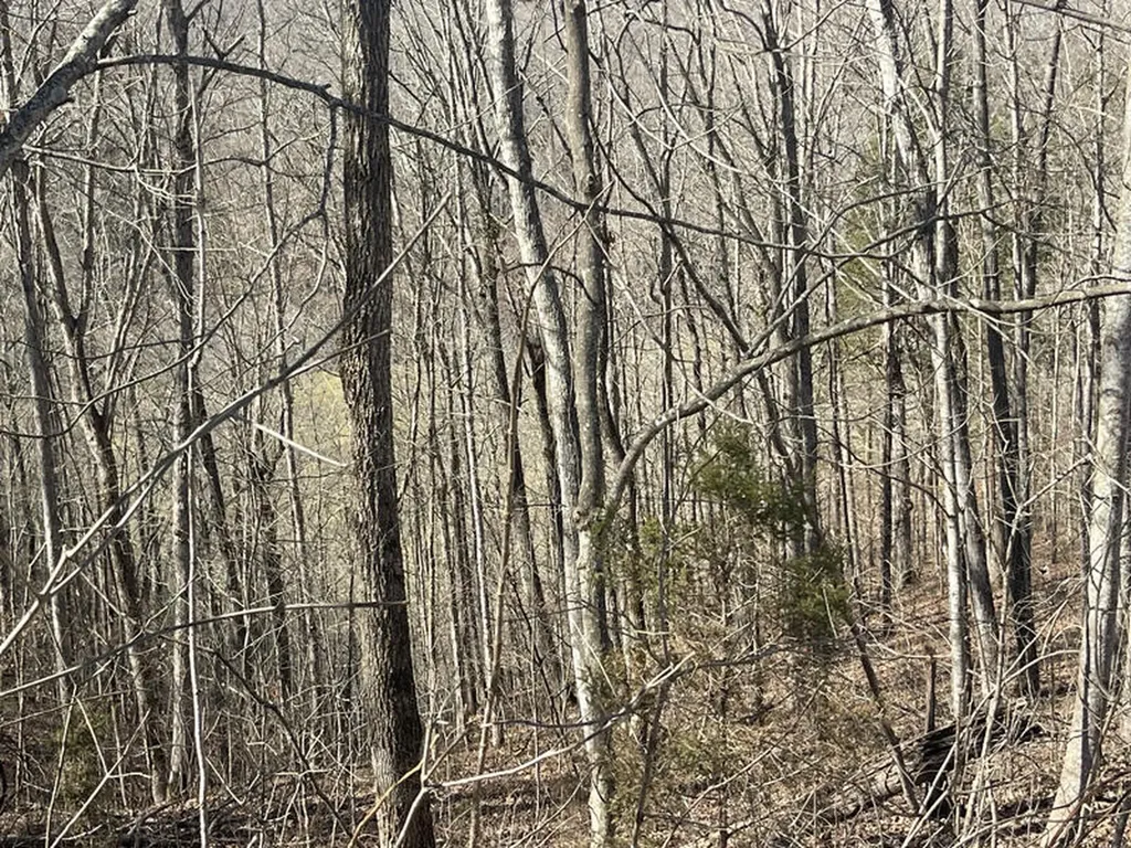 Lot 22 Cumberland Shores Monticello KY 42633