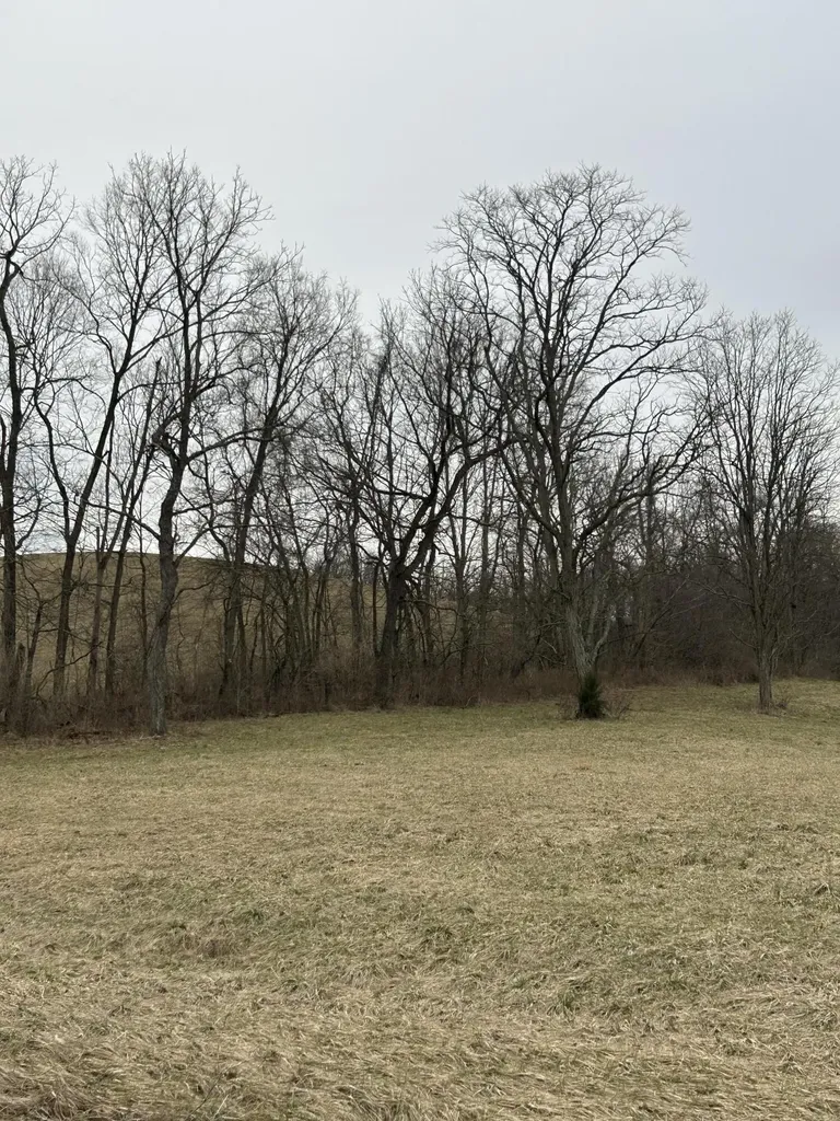 1 Mallard Point Drive Georgetown KY 40324