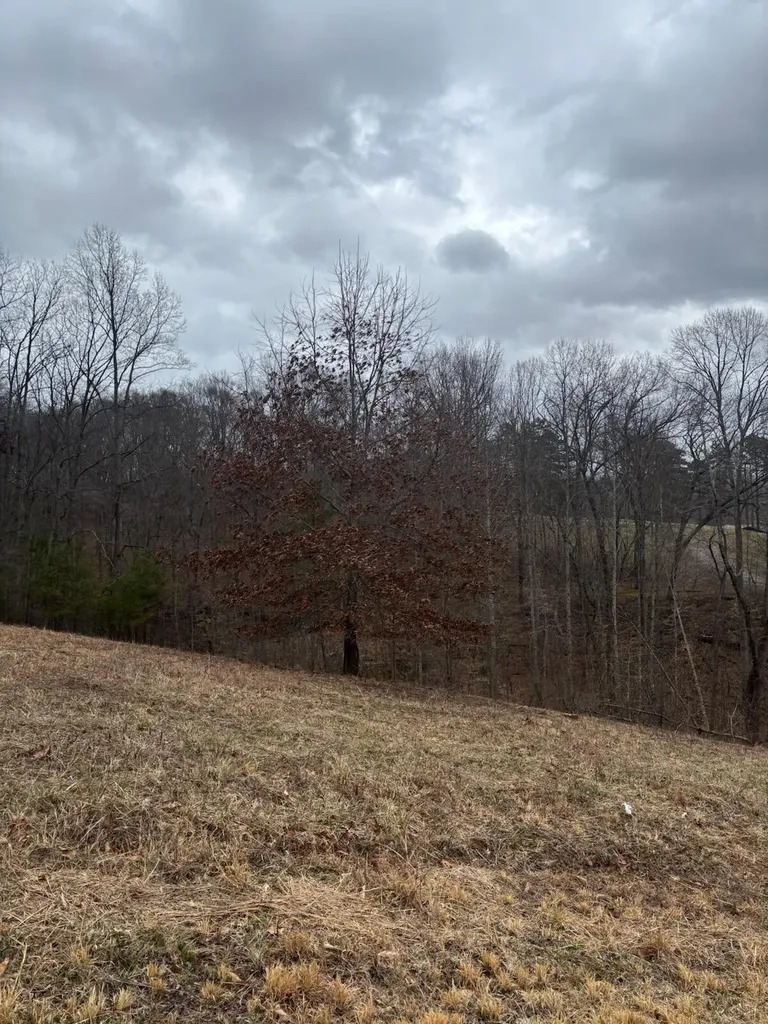 9999 Old Way Road London KY 40744