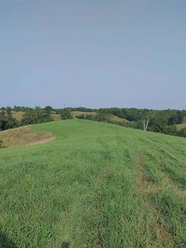 222 Stone Lane Sadieville KY 40370