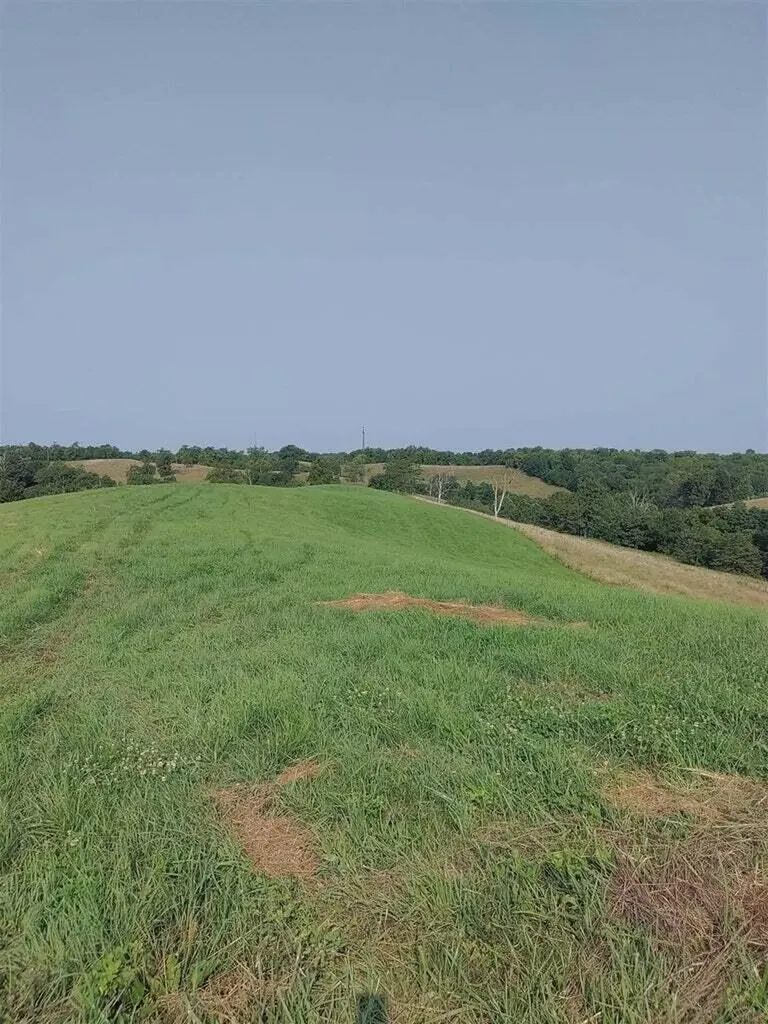222 Stone Lane Sadieville KY 40370