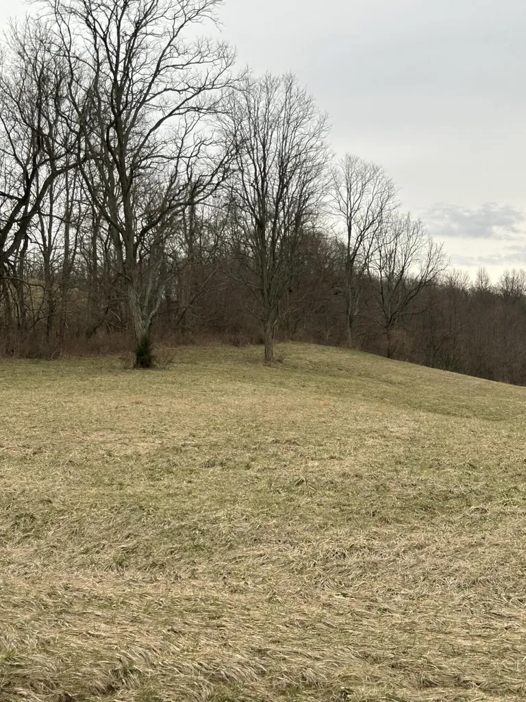 1 Mallard Point Drive Georgetown KY 40324