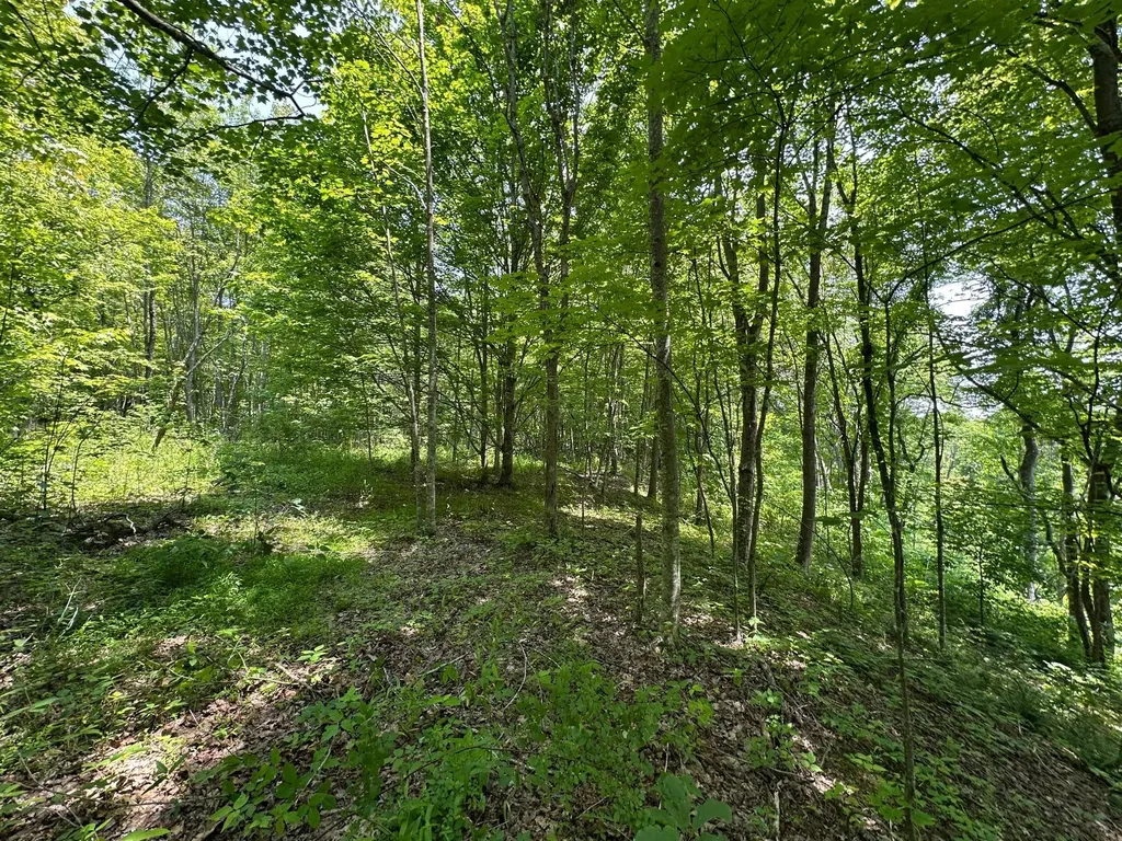 450 Key Highway 542 Jackson KY 41339