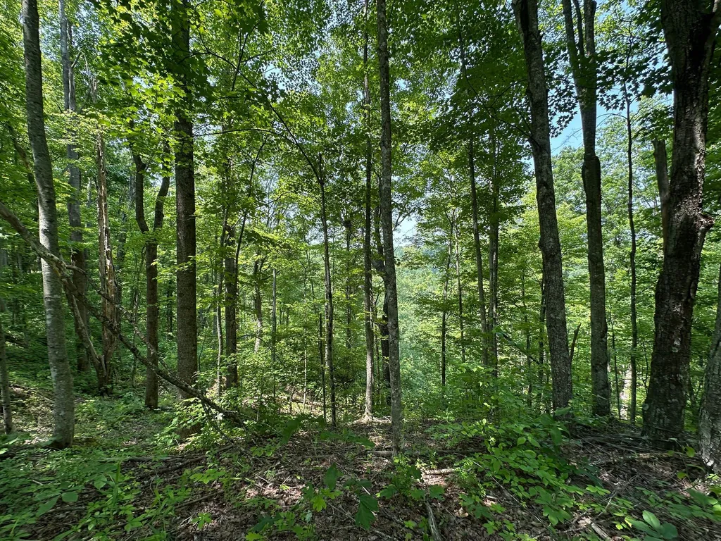 450 Ky Highway 542 Jackson KY 41339