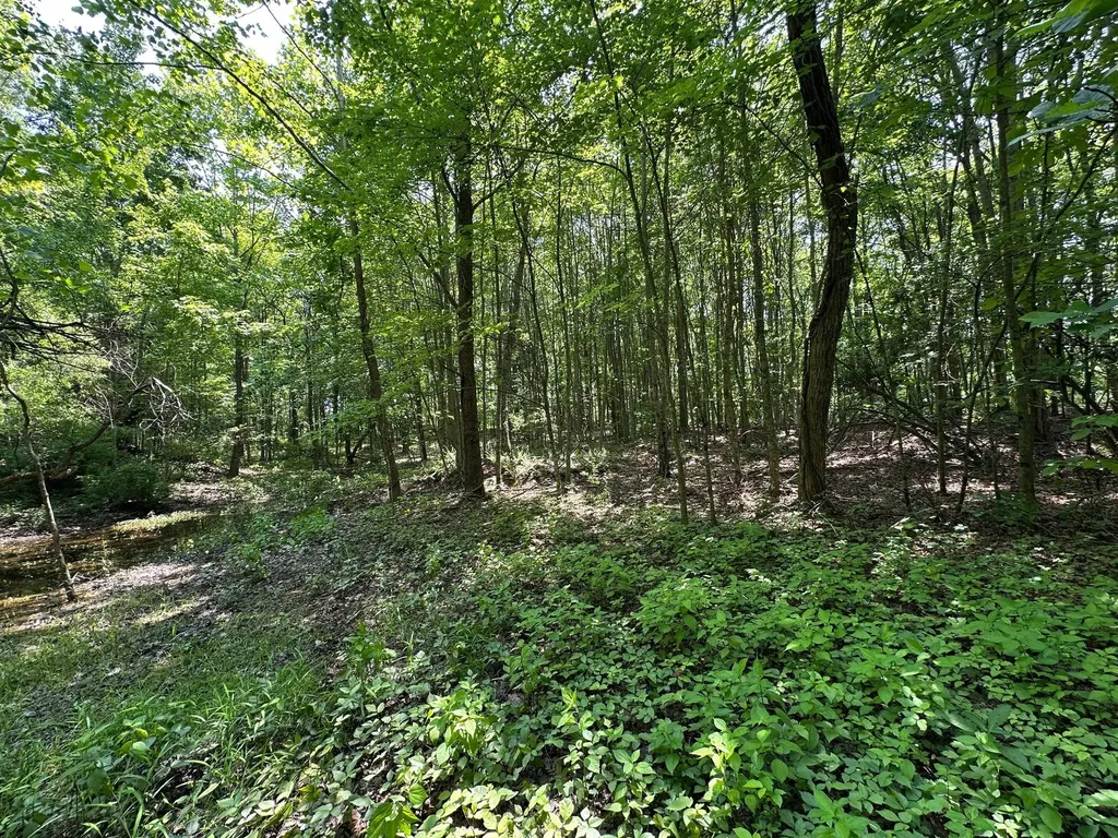 450 Key Highway 542 Jackson KY 41339