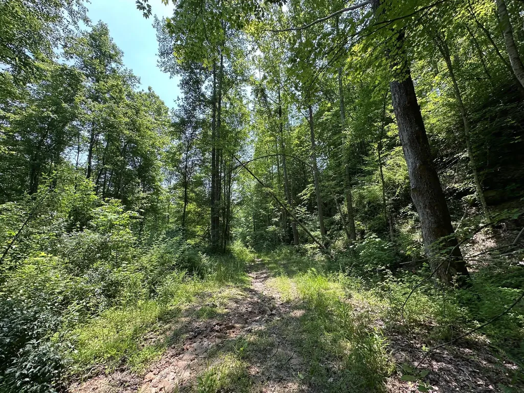 450 Key Highway 542 Jackson KY 41339