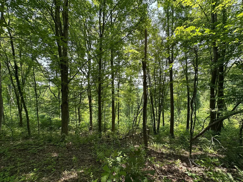 450 Key Highway 542 Jackson KY 41339