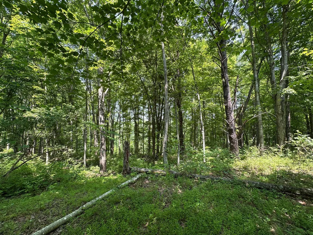 450 Ky Highway 542 Jackson KY 41339