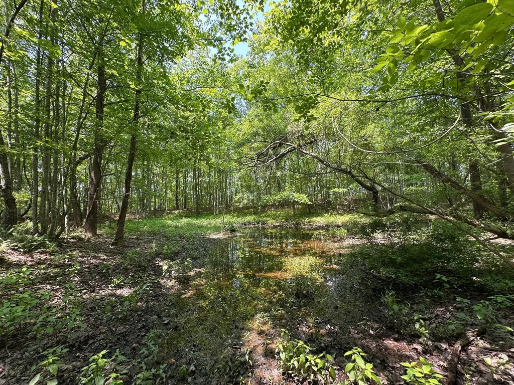 450 Key Highway 542 Jackson KY 41339