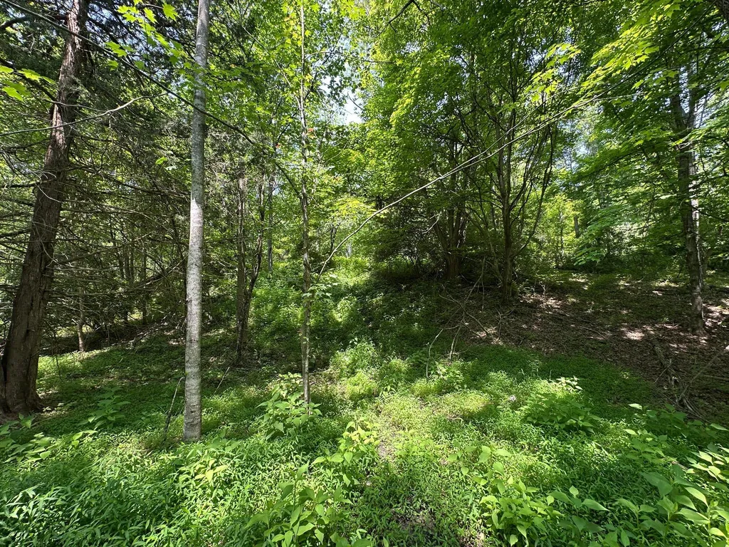 450 Ky Highway 542 Jackson KY 41339