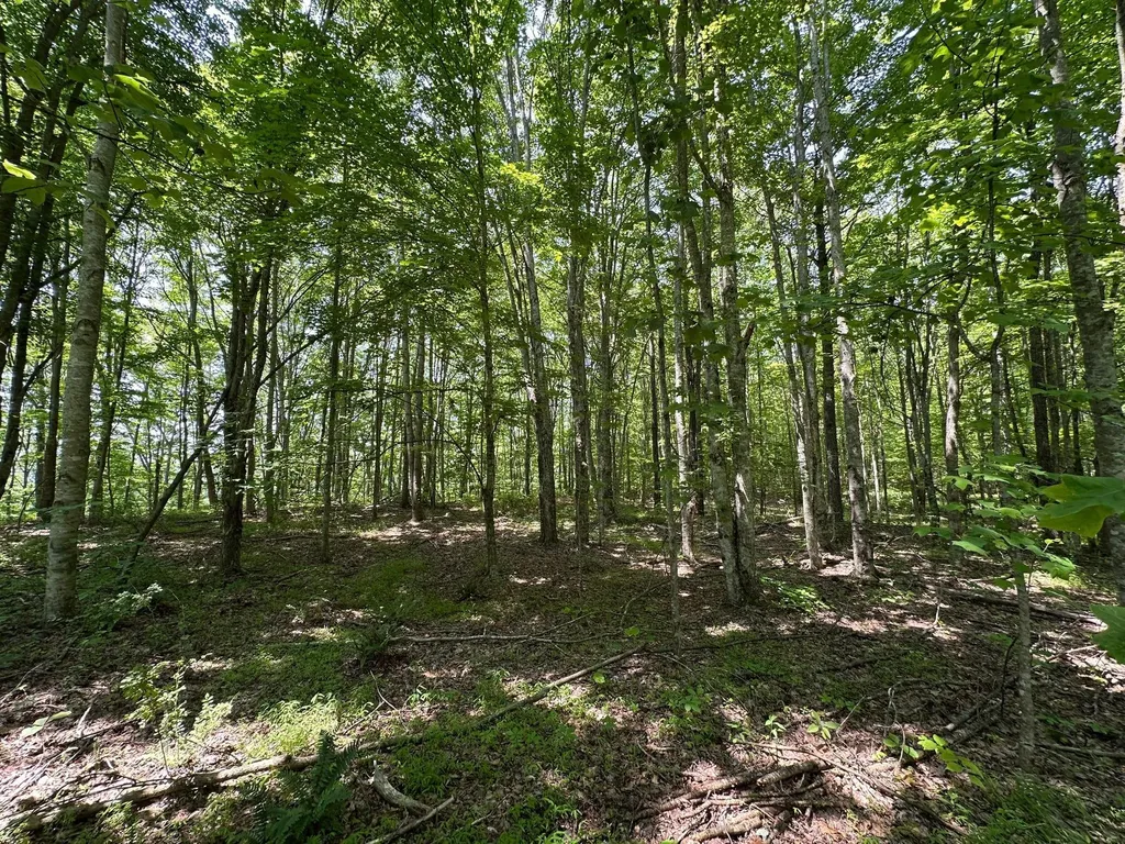 450 Ky Highway 542 Jackson KY 41339