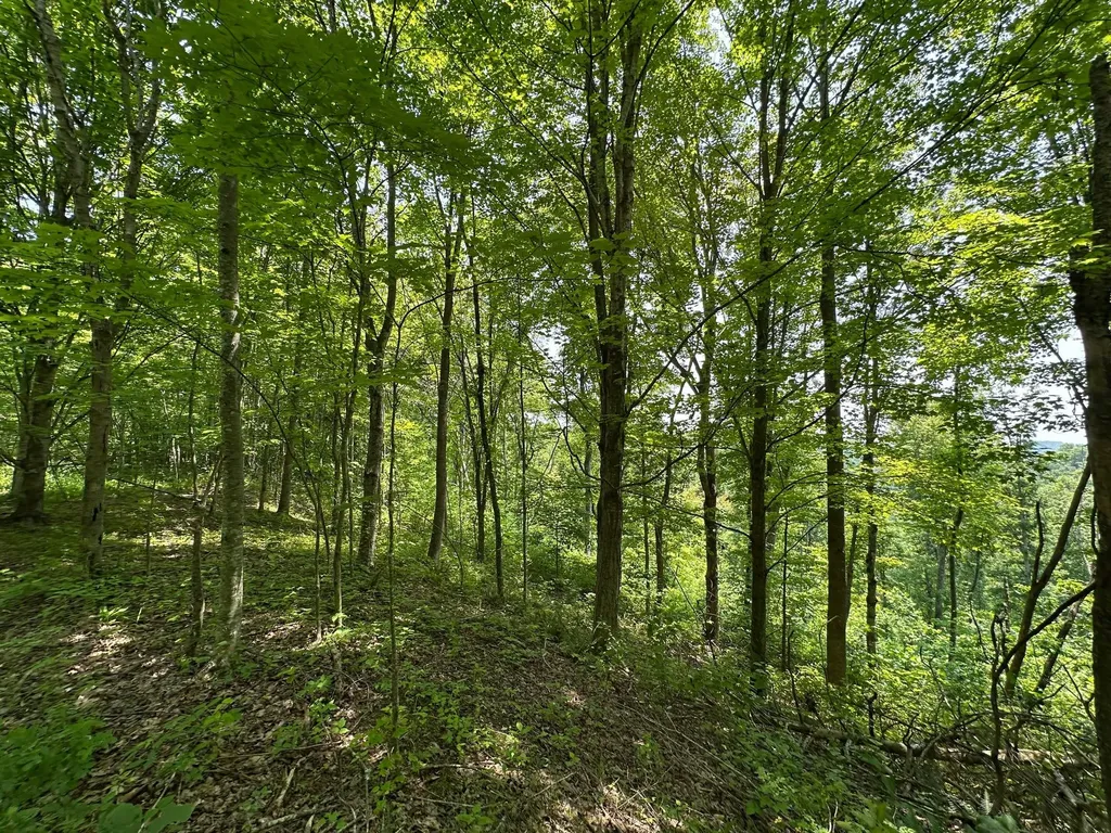450 Key Highway 542 Jackson KY 41339