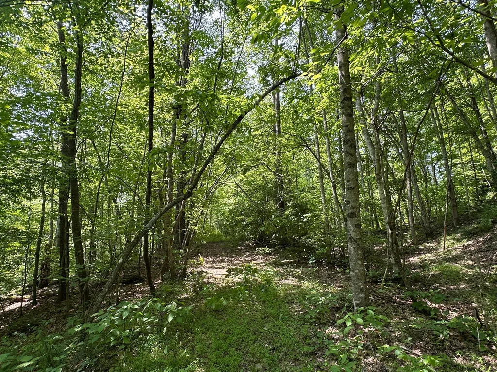 450 Ky Highway 542 Jackson KY 41339