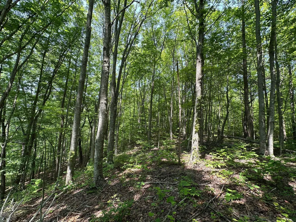 450 Ky Highway 542 Jackson KY 41339