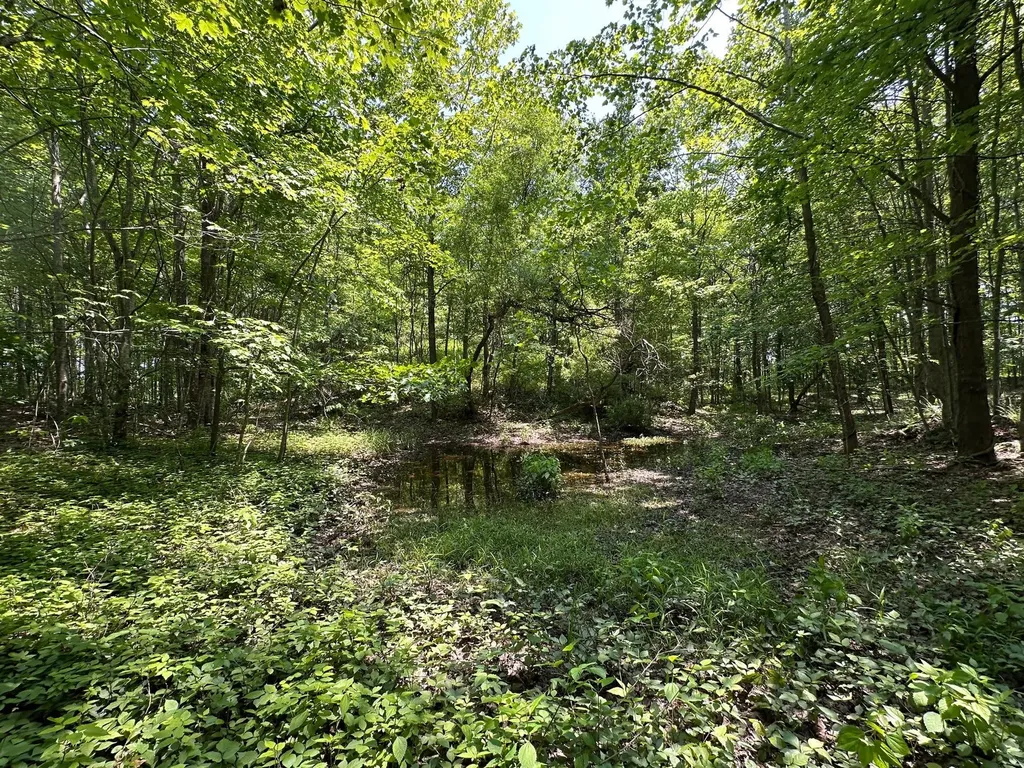 450 Key Highway 542 Jackson KY 41339