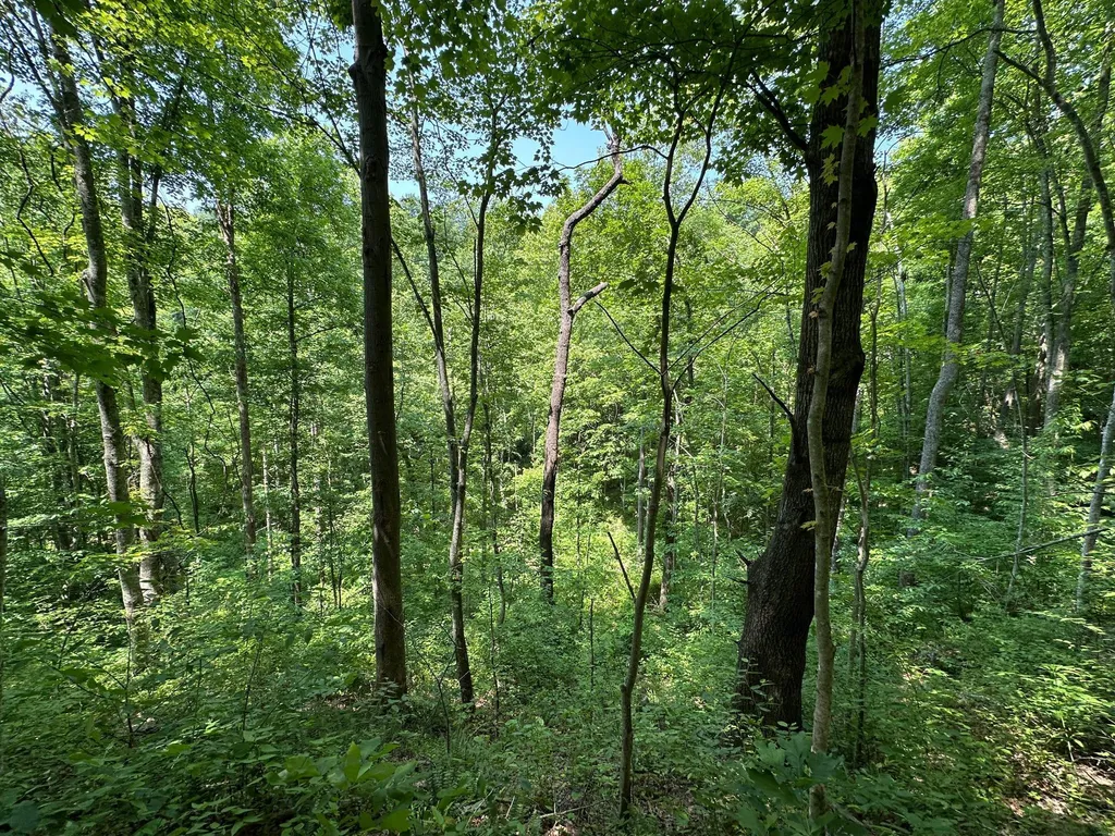 450 Ky Highway 542 Jackson KY 41339