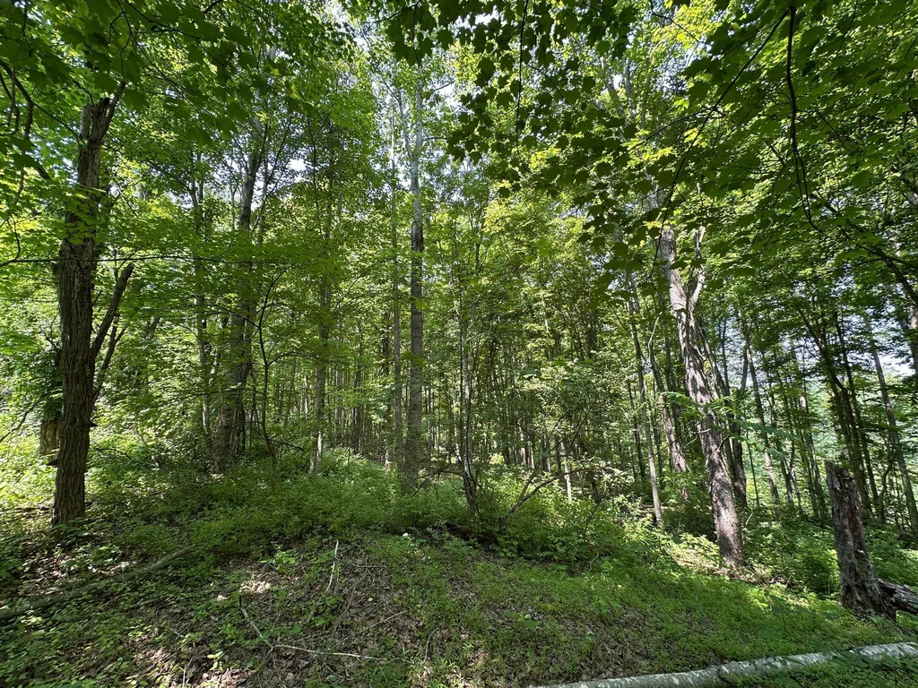 450 Ky Highway 542 Jackson KY 41339
