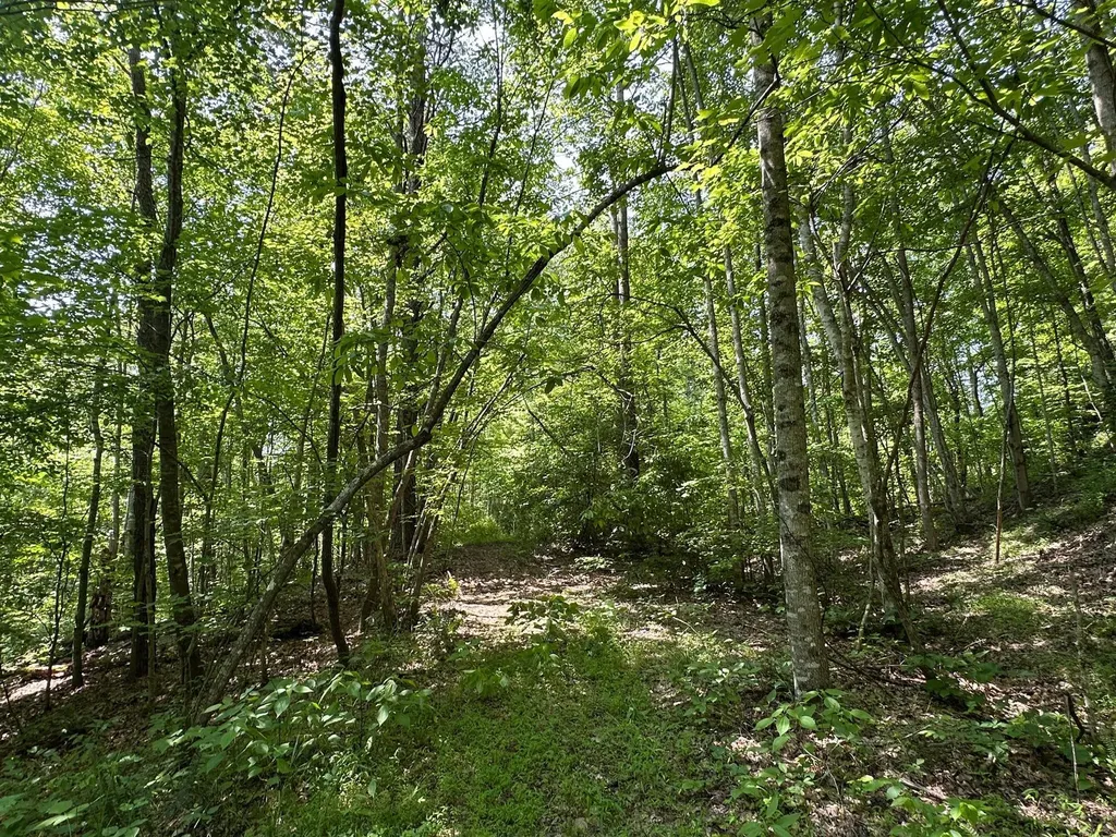 450 Ky Highway 542 Jackson KY 41339